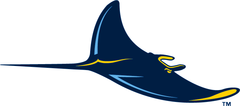Tampa Bay Rays 2008-Pres Alternate Logo fabric transfer version 2